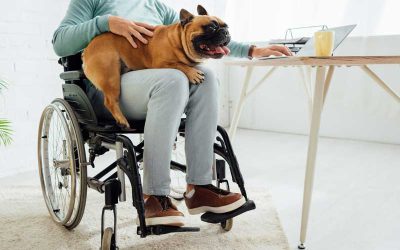 Tax Benefits for Individuals With Disabilities