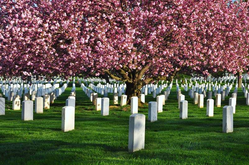 Cemetery