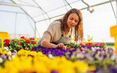 Impuestos de los autónomos 101: Guía para pagar impuestos cuando se es autónomo