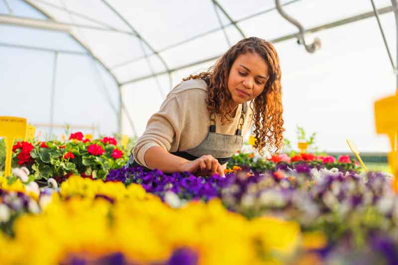 Impuestos de los autónomos 101: Guía para pagar impuestos cuando se es autónomo