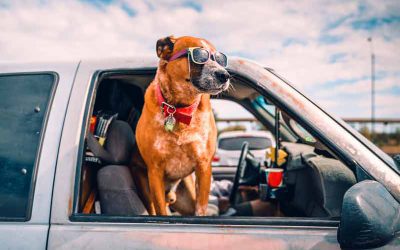 7 consejos para viajar barato por carretera
