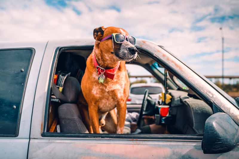 7 Money-Saving Tips for a Cheap Road Trip