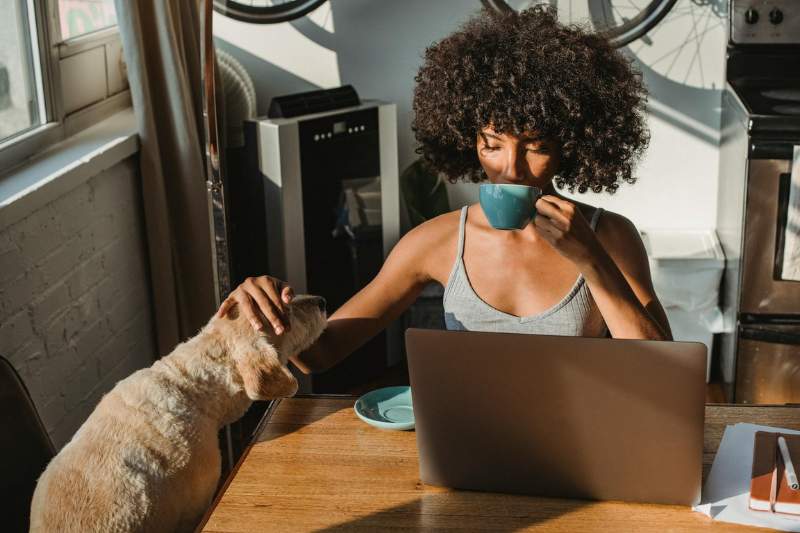 Woman at a table, researching ITINs on her laptop, sipping coffee and petting her dog.