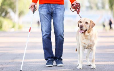 Is a Service Animal Tax Deductible?