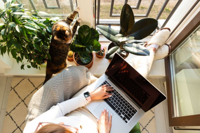 Is Rent Tax Deductible?