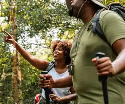 Step-by-Step Guidance